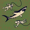 Sharks artwork