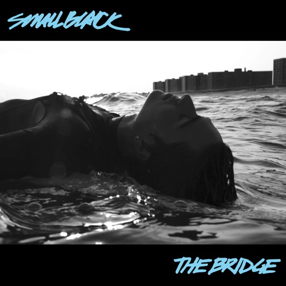 Cover artwork for The Bridge