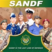 SANDF with President Cyril Ramaphosa artwork