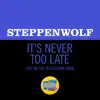 It's Never Too Late (Live On The Ed Sullivan Show, May 19, 1969) - Single album lyrics, reviews, download