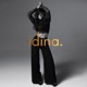 IDINA cover art