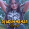 DJ Aduh Mamae artwork