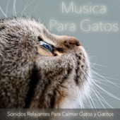 Música para Gatos: Sonidos Relajantes para Calmar Gatos y Gatitos artwork