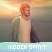 Hidden Spirit artwork