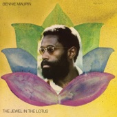 Bennie Maupin - Past + Present = Future