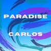 Paradise Electro