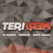 Teri Meri artwork