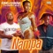 Nampa (feat. Danny Beatz) - King Ghana lyrics
