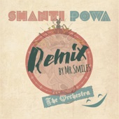 Carpe Diem (feat. Shanti Powa) [Remix] artwork