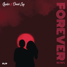 Forever (Remix) artwork