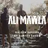 Ali Maula (feat. Karter Zaher) - Single album lyrics, reviews, download