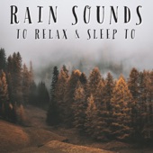 Rain Sounds To Relax & Sleep To - EP artwork