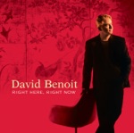 David Benoit - Third Encounter