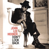 John Lee Hooker - Ain't No Big Thing