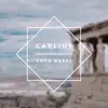 Stream & download Caelius - Single