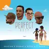 Perfect Body (feat. Serani, Nicky B & Qraig) - Single album lyrics, reviews, download