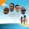 Stream & download Perfect Body (feat. Serani, Nicky B & Qraig) - Single