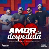 Amor da Despedida artwork