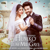 Naresh Sharma & Vishal Mishra - Humko Tum Mil Gaye - Single artwork