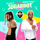 Sugarboy (Remix) artwork