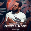 C'est la vie - Single