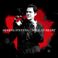 Shakin' Stevens - Wild At Heart (Neros Single Version) artwork