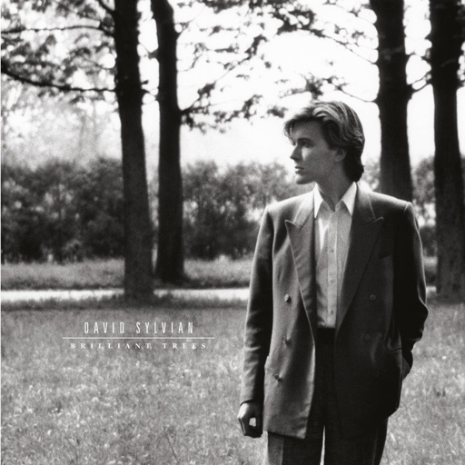 Album artwork
