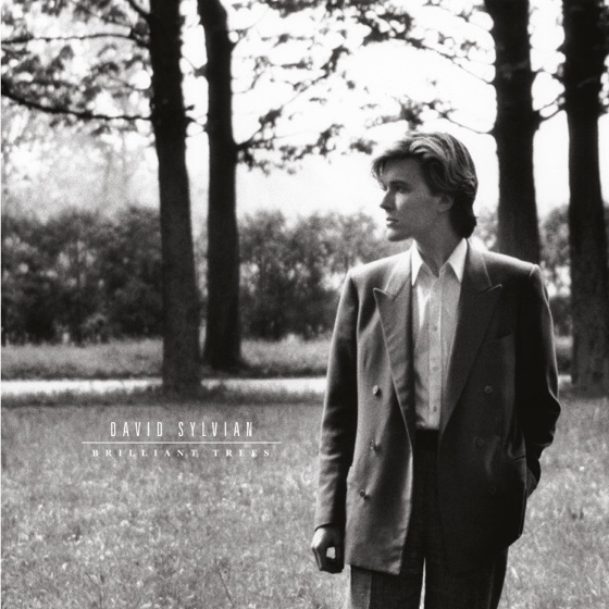 Cover artwork for Backwaters