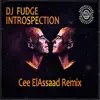 Introspection (Cee ElAssaad Remix) - Single album lyrics, reviews, download