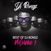 Best of DJ Bongz, Volume 1 artwork