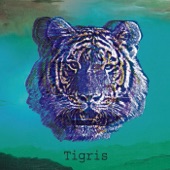 Tigris artwork