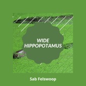 Wide Hippopotamus artwork