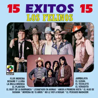lataa albumi Los Felinos - 15 Exitos
