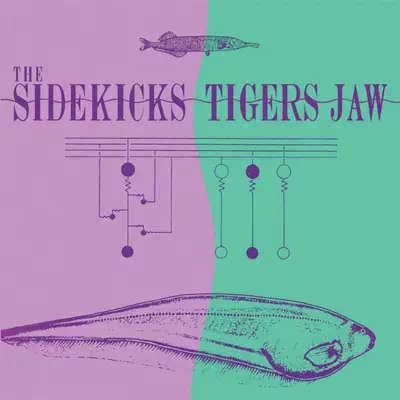 The Sidekicks/Tigers Jaw Split - Single - Tigers Jaw