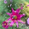 Flower Birthday - EP album lyrics, reviews, download