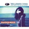 Stream & download Fake Plastic Trees - Single