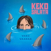 Varo vaaraa artwork