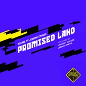 Promised Land (Special Love Mix) [feat. Jerome Stokes] artwork