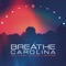 Reaching For The Floor - Breathe Carolina lyrics