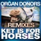 Ket Is for Horses (Malc B Remix) - Organ Donors lyrics