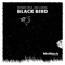 Black Bird artwork
