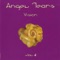 Mystic Desire - Angel Tears lyrics