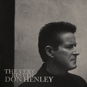 Don Henley - Dirty Laundry - 排舞 音乐