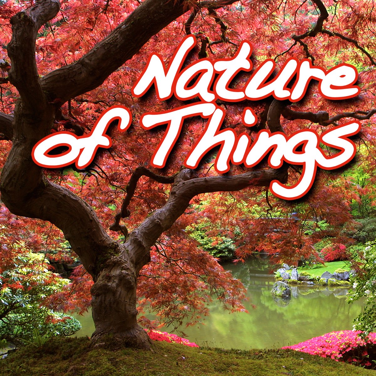 Nature of things. Nature Sound лейбл. The nature of things.