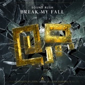 Break My Fall (Extended Mix) artwork