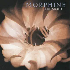 The Night by Morphine album reviews, ratings, credits