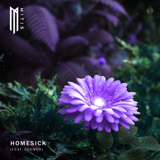 Cover artwork for Homesick (feat. Soundr)