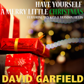 Have Yourself a Merry Little Christmas (feat. Amy Keys & Brandon Fields) - David Garfield