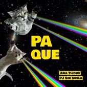 Pa Que (feat. PJ Sin Suela) artwork