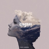 Diagnos (Radio Edit) artwork
